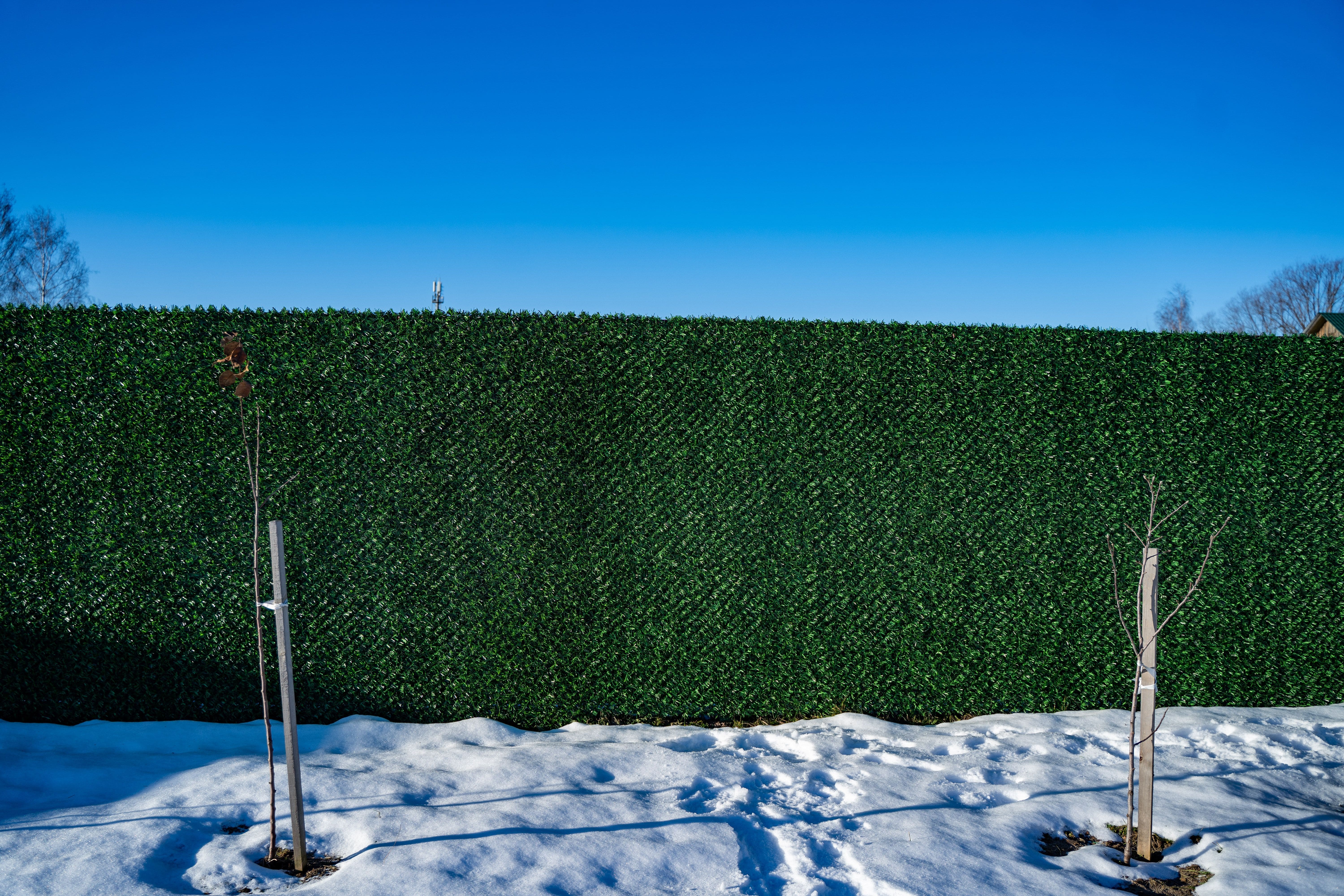 Вечнозеленый забор Grass Fence рулон 2м фото 8 в Альметьевске